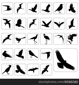 Birds set vector image