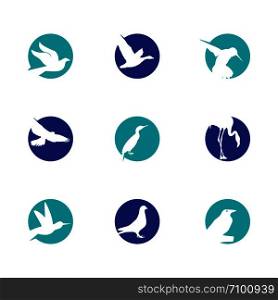 Birds set vector logo design, flying duck, sparrow, dove, hawk icon illustration