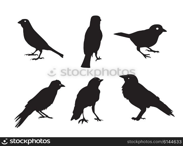 Birds Silhouettes Isolated on White Vector Illustration EPS10. Birds Silhouettes Isolated on White Vector Illustration