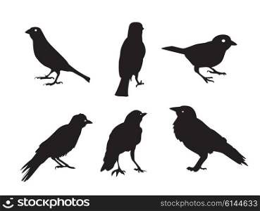 Birds Silhouettes Isolated on White Vector Illustration EPS10. Birds Silhouettes Isolated on White Vector Illustration