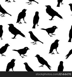 Birds Silhouettes Seamless Pattern Background Vector Illustration EPS10. Birds Silhouettes Seamless Pattern Background Vector Illustratio