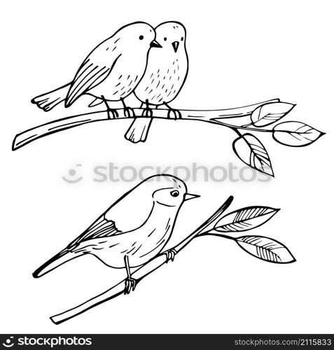 Birds sitting on a branch. Vector sketch illustration.