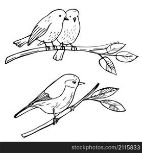 Birds sitting on a branch. Vector sketch illustration.