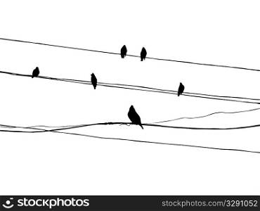 birds to waxwings on wire