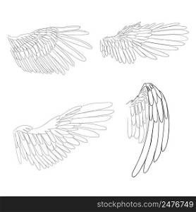 Birds wings in line style. Angels wings.