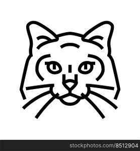 birman cat cute pet line icon vector. birman cat cute pet sign. isolated contour symbol black illustration. birman cat cute pet line icon vector illustration