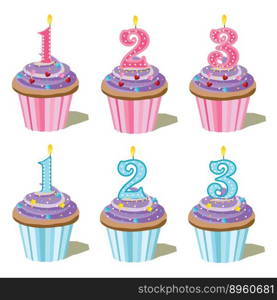 Birthday cakes with candles vector image