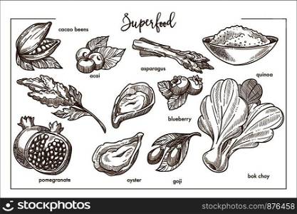 Bitter cocoa beans, exotic acai, green asparagus, bowl of quinoa porridge, sweet blueberry, fresh bok choy, branch of goji berry, raw oysters and ripe pomegranate vector illustrations collection.. Superfood collection with seafood and organic products set