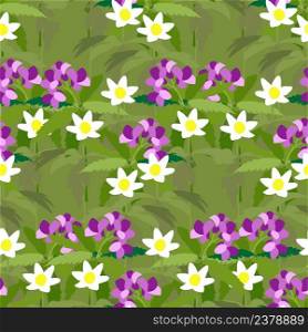 Bittercresses toothworts anemone forest plant violet white flowers green leaves seamless pattern stock