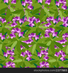 Bittercresses toothworts forest plant violet flowers green leaves seamless pattern stock vector illustration