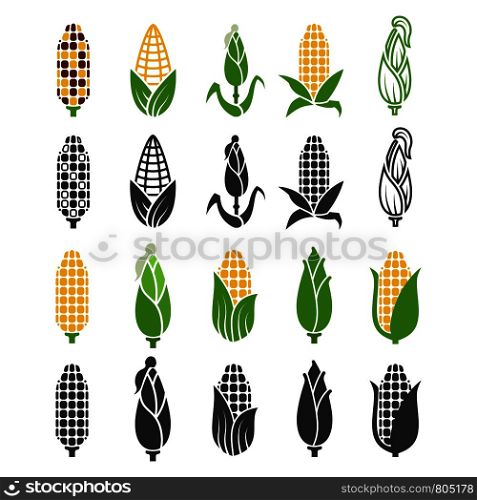 Black and color corn harvest icons isolated on white background. Vector maize silhouette, harvest plant nature illustration. Black and color corn harvest icons isolated on white background