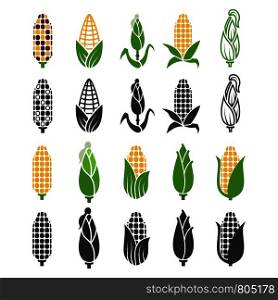 Black and color corn harvest icons isolated on white background. Vector maize silhouette, harvest plant nature illustration. Black and color corn harvest icons isolated on white background