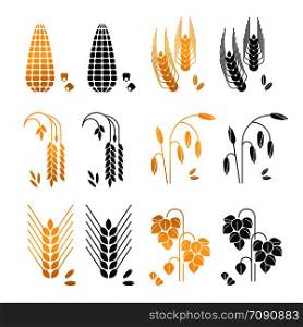 Black and gold cereal grains vector icons. rice, wheat, corn, rye, barley isolated on white background. Agriculture wheat and ear, barley and rye illustration. Black and gold cereal grains vector icons. rice, wheat, corn, rye, barley isolated on white background