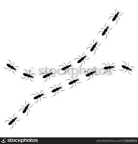 black and white ant logo vector