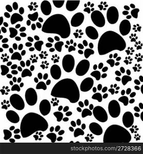 black and white background with paws