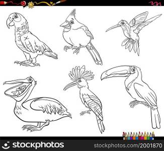 Black and white cartoon illustration of birds animal characters set coloring book page