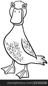 Black and white cartoon illustration of duck bird farm animal character coloring book page