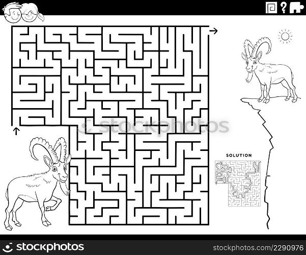 Black and white cartoon illustration of educational maze puzzle game for children with ibex or capricorn animal character coloring book page