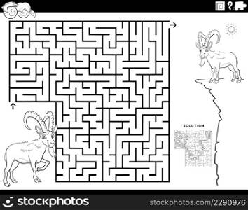 Black and white cartoon illustration of educational maze puzzle game for children with ibex or capricorn animal character coloring book page