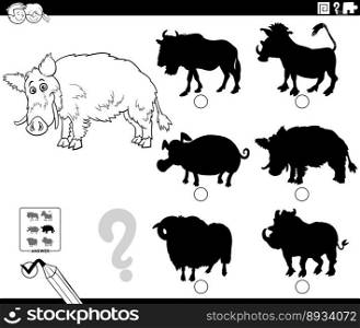 Black and white cartoon illustration of finding the right picture to the shadow educational game with wild boar animal character coloring page