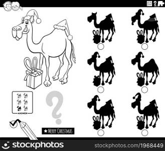 Black and white cartoon illustration of finding the shadow without differences educational game for children with dromedary camel character on Christmas time coloring book page