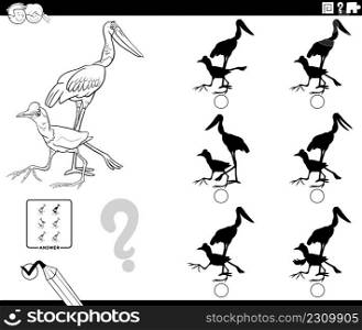 Black and white cartoon illustration of finding the shadow without differences educational game for children with jacana and jabiru birds animal characters coloring book page