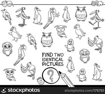 Black and White Cartoon Illustration of Finding Two Identical Pictures Educational Game for Children with Birds Animal Characters Coloring Book