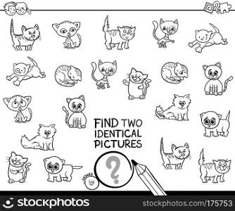 Black and White Cartoon Illustration of Finding Two Identical Pictures Educational Game for Kids with Kitten Characters Coloring Book