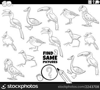 Black and white cartoon illustration of finding two same pictures educational game with birds animal characters coloring book page