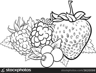 Black and White Cartoon Illustration of Four Berry Fruits like Blueberry and Blackberry and Raspberry and Strawberry Food Design for Coloring Book