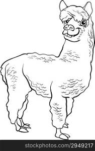 Black and White Cartoon Illustration of Funny Alpaca Farm Animal for Coloring Book
