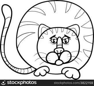 Black and White Cartoon Illustration of Funny Fat Cat Character for Coloring Book