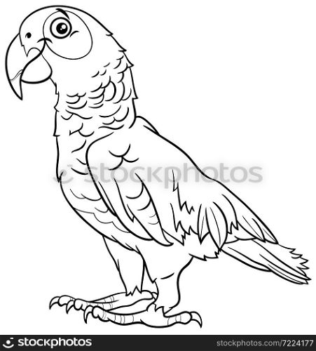Black and white cartoon illustration of funny grey parrot bird comic animal character coloring book page