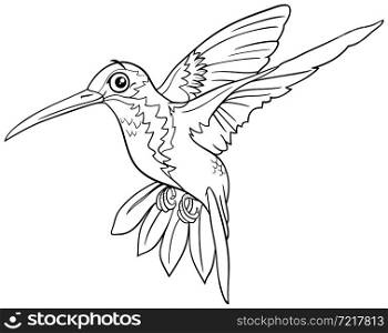 Black and white cartoon illustration of funny hummingbird bird animal character coloring book page