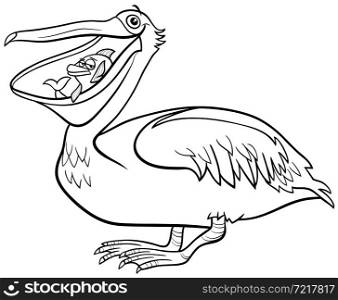 Black and white cartoon illustration of funny pelican bird animal character with fish coloring book page