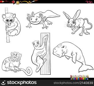 Black and white cartoon illustration of funny wild animals characters set coloring book page
