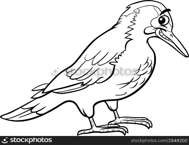 Black and White Cartoon Illustration of Funny Yaffle Bird or European Green Woodpecker Animal for Coloring Book
