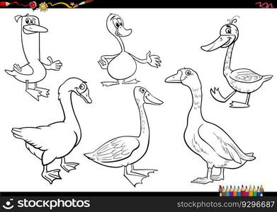 Black and white cartoon illustration of geese farm animal characters set coloring page