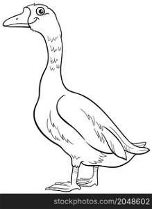 Black and white cartoon illustration of goose bird farm animal character coloring book page