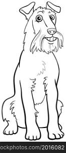 Black and white cartoon illustration of Irish Terrier purebred dog animal character coloring book page