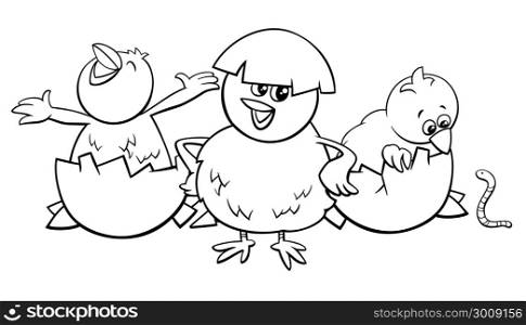 Black and White Cartoon Illustration of Little Chicks Characters Hatching from Eggs Coloring Book