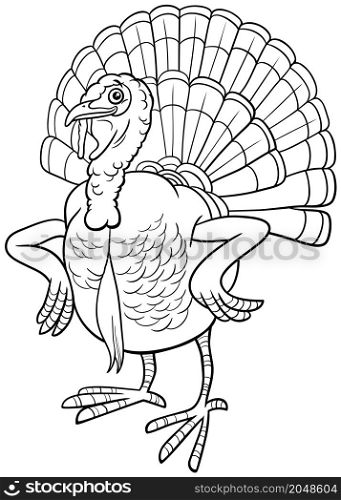 Black and white cartoon illustration of turkey bird farm animal character coloring book page