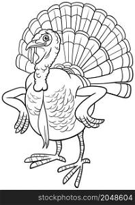 Black and white cartoon illustration of turkey bird farm animal character coloring book page