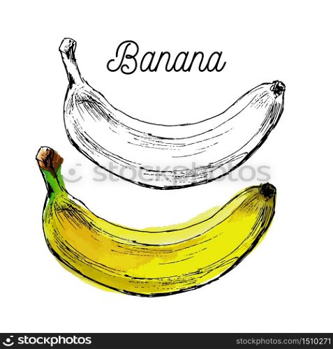 Black and White Cartoon Vector Illustration of Banana Fruit Food Object for Coloring. Black and White Cartoon Vector Illustration of Banana Fruit Food Object for Coloring Book
