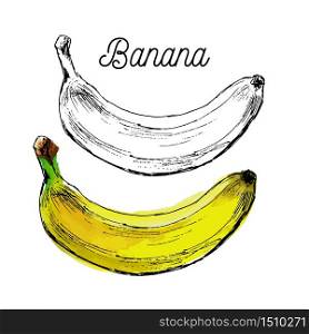 Black and White Cartoon Vector Illustration of Banana Fruit Food Object for Coloring. Black and White Cartoon Vector Illustration of Banana Fruit Food Object for Coloring Book