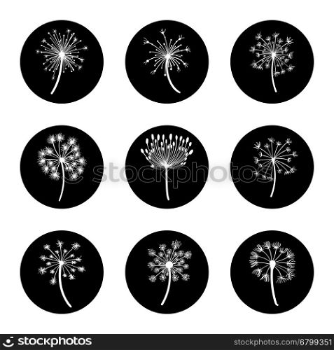 Black and white dandelion icon set. Black and white botanical icons. Dandelion icon set vector