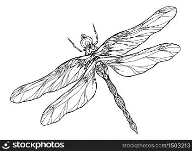 Black and white dragonfly illustration with a boho pattern. Vector element for sketching tattoos, printing on T-shirts, postcards and your creativity. Black and white dragonfly illustration with a boho pattern. Vect