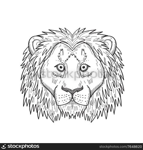 Black and white drawing sketch style illustration of a head of coward, cowardly or scared lion with mane viewed from front on isolated background.. Head of a Coward and Scared Lion Front View Black and White Drawing