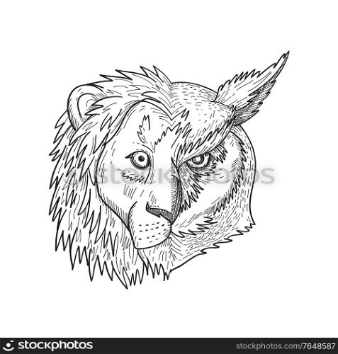 Black and white drawing sketch style illustration of a head of lion with mane on one half and great horned owl, tiger owl or the hoot owl on the other side viewed from front on isolated background.. Head of Half Lion and Half Great Horned Owl Tiger Owl or Hoot Owl Front View Black and White Drawing