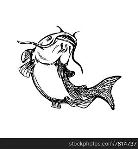 Black and White drawing sketch styleillustration of a ray-finned fish catfish also known as mud cat, polliwogs or chucklehead jumping up set on isolated background. . Catfish Mud Cat Jumping Up Black and White Drawing